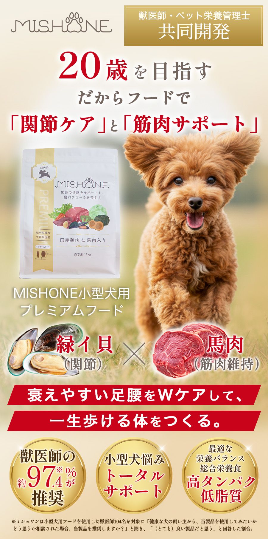 MISHONE -ミシュワン-| ヒューマングレード品質のプレミアムドッグフード