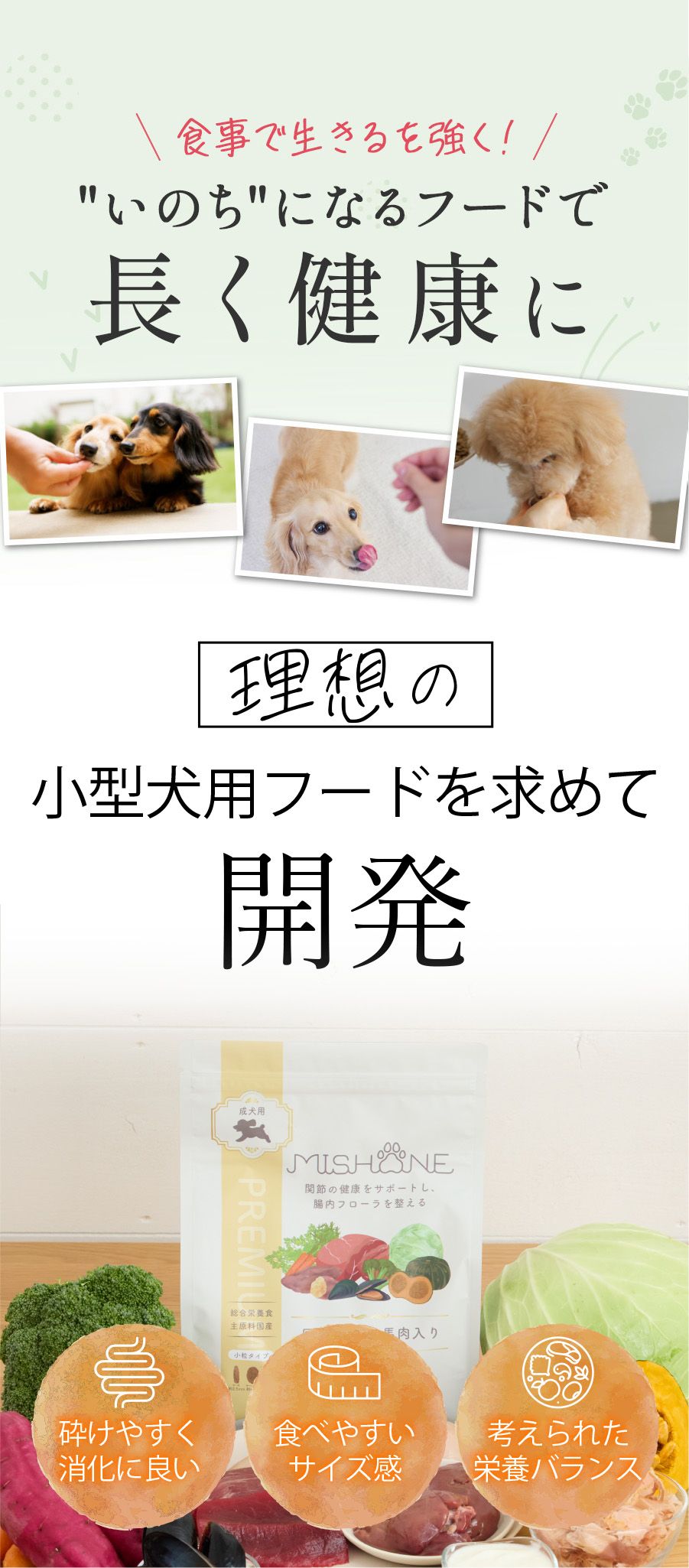 MISHONE -ミシュワン-| ヒューマングレード品質のプレミアムドッグフード