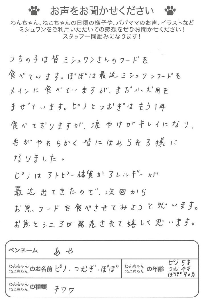 voice04.jpg